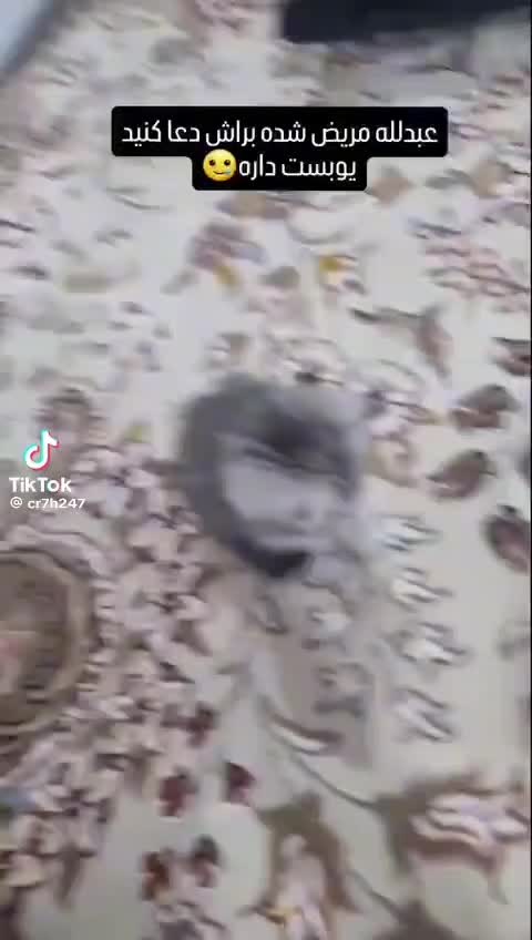 @فن امیر هستم زورت بیاد💋🔥