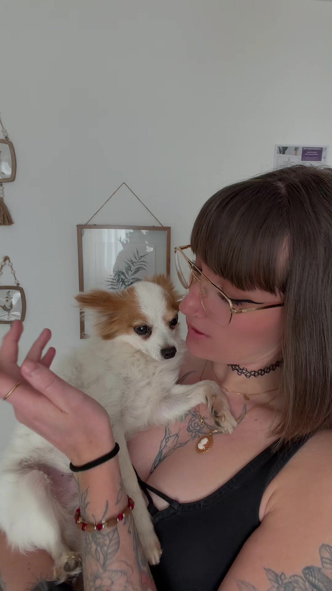 @Am&eacute;lie l&rsquo;Hypnotiseuse ✨