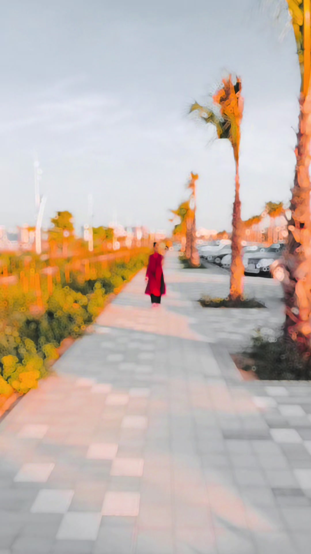 @Sahar_sheikh77