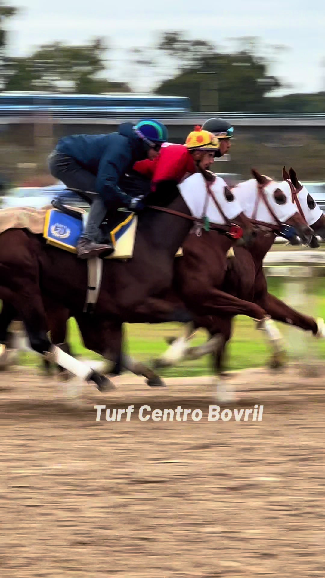 @TURF CENTRO BOVRIL