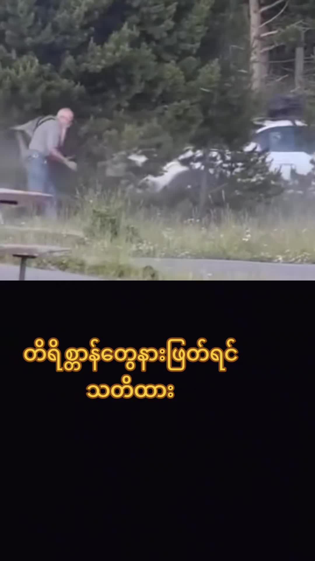 @MD Sigma