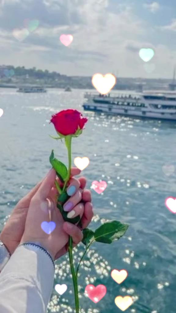 @Aysel