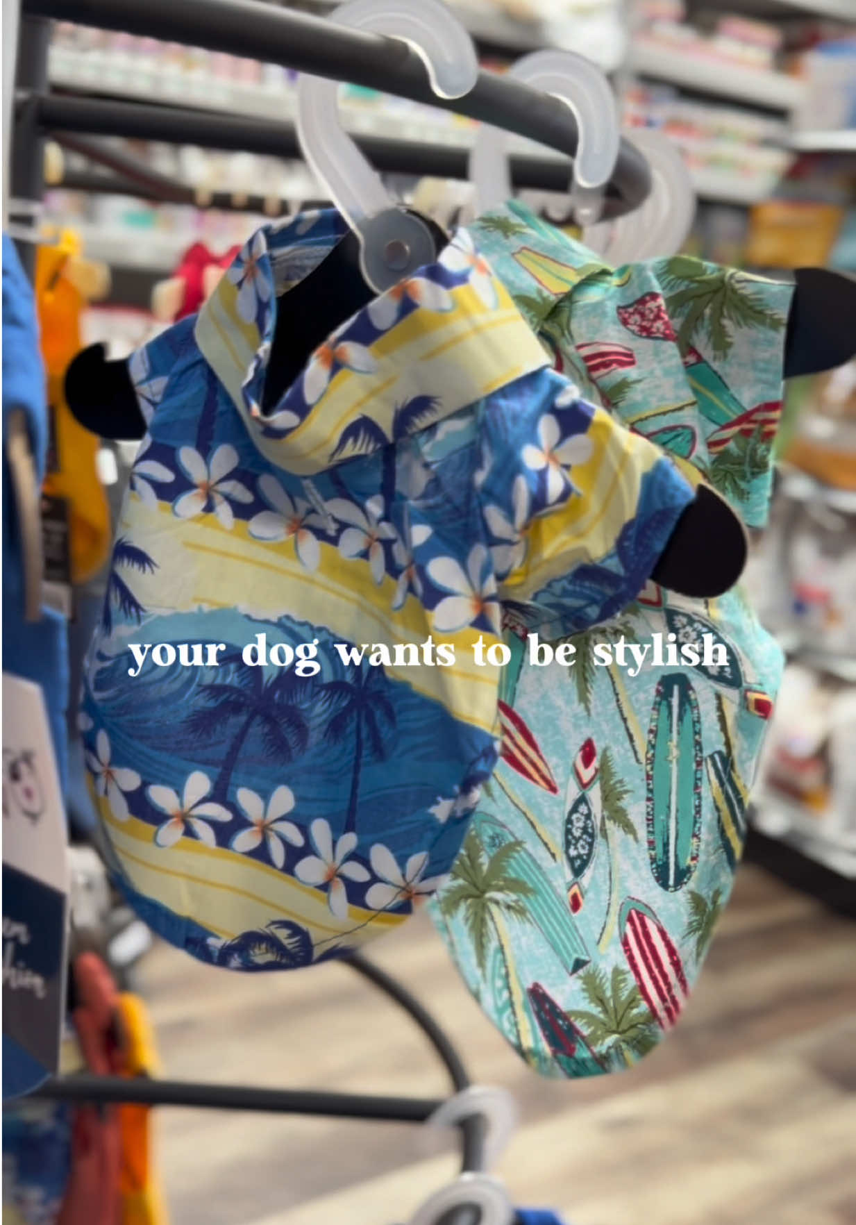 @Petland Bradenton