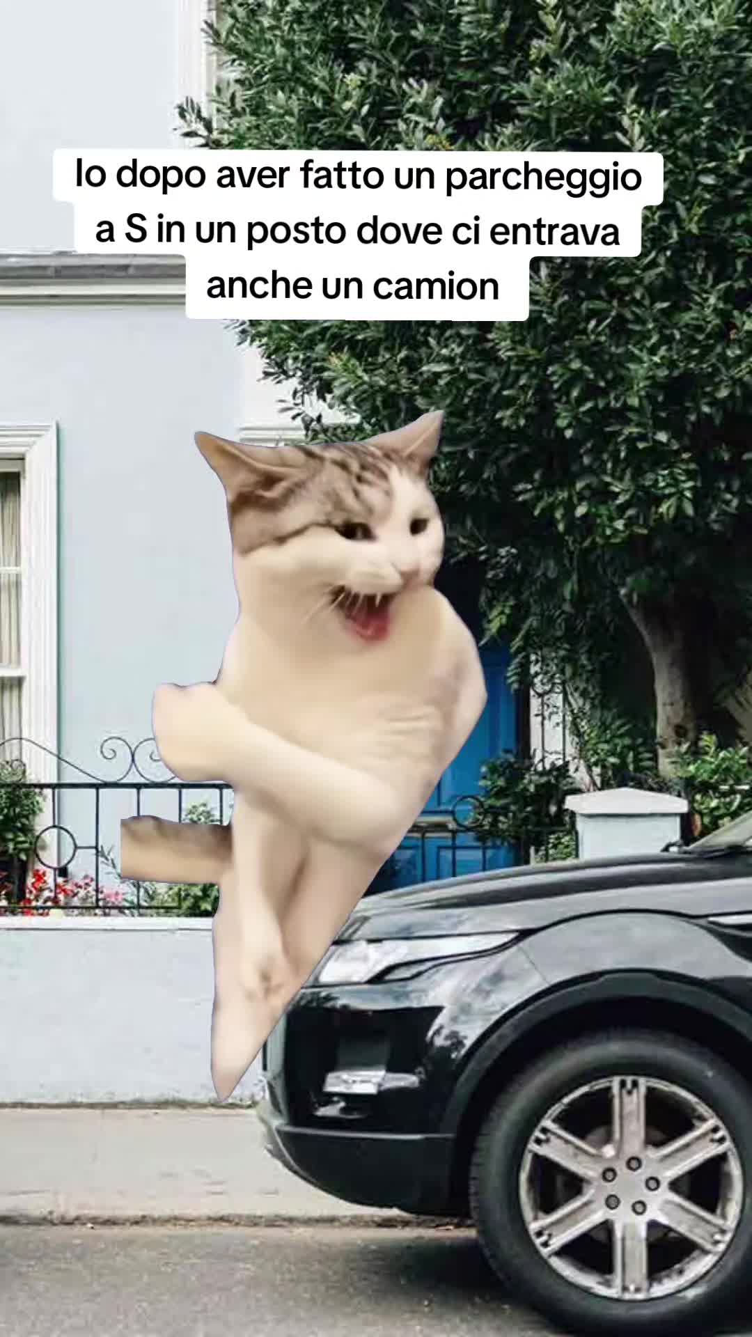 @Catzatte