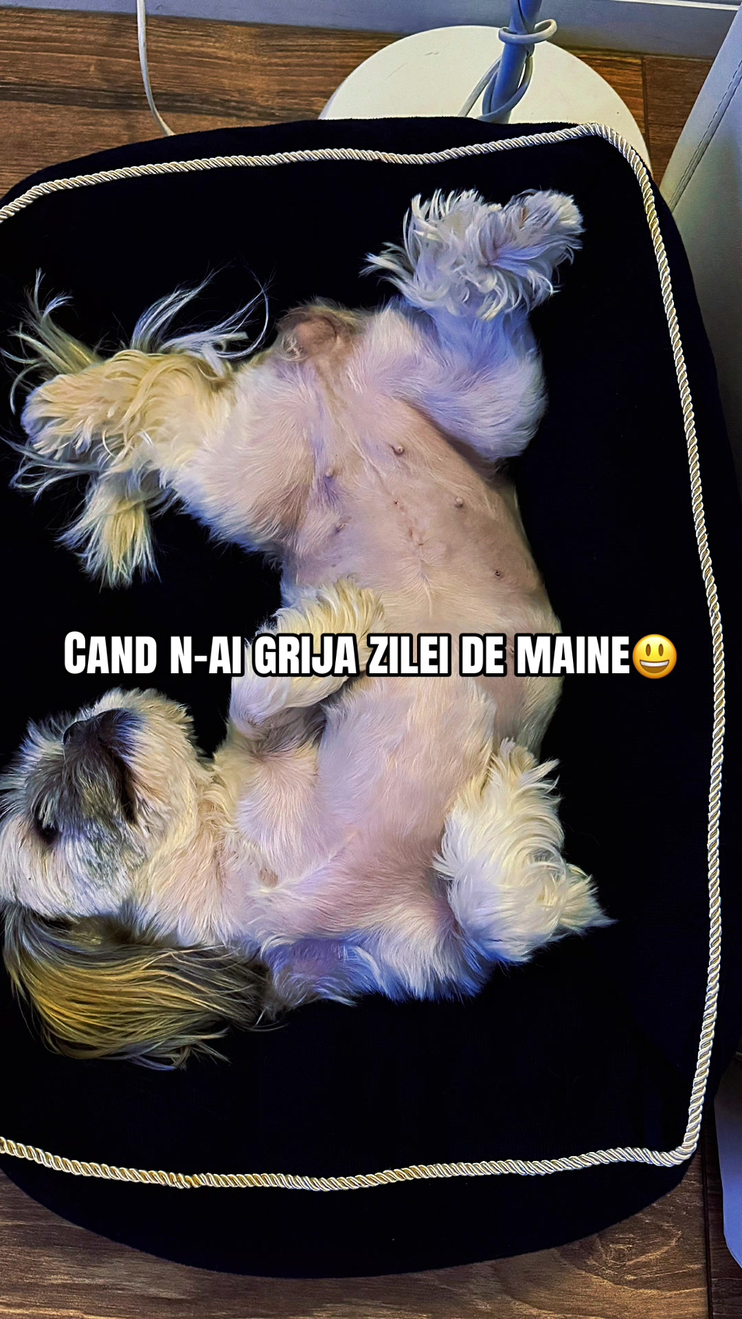 @rajuanturaju