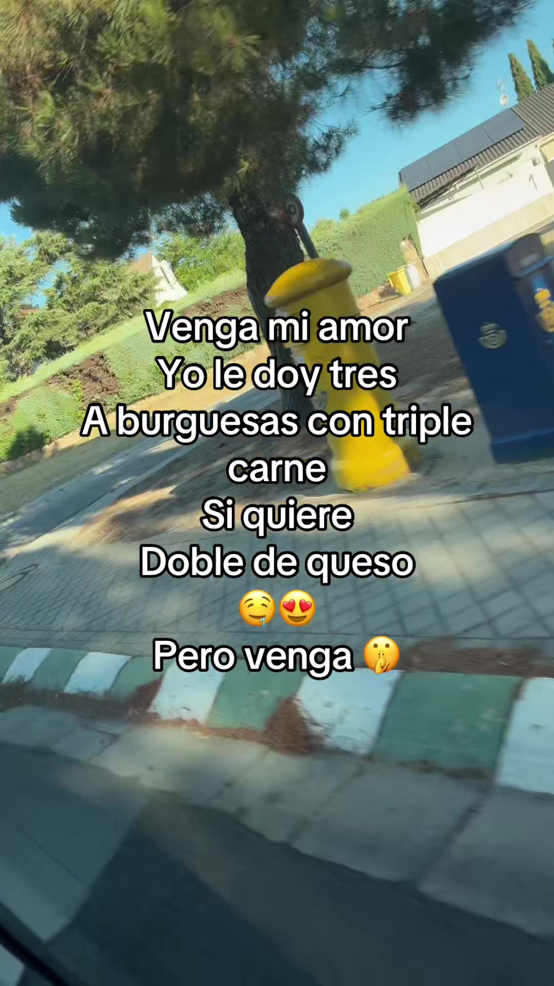 @diana1.114