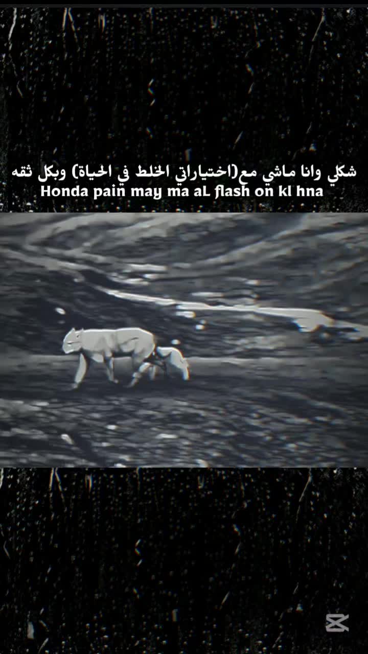 @الحساب للبيع
