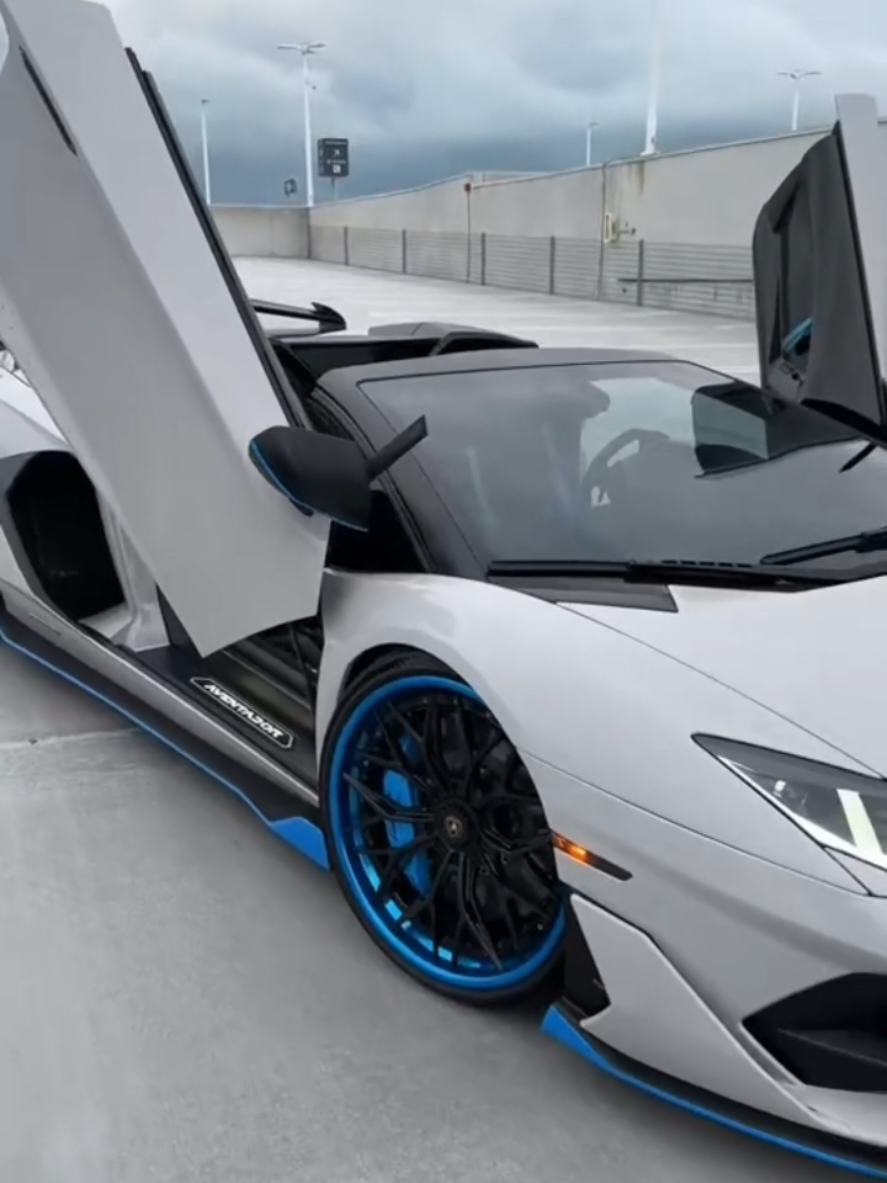 @✨️Xlm-Luxury