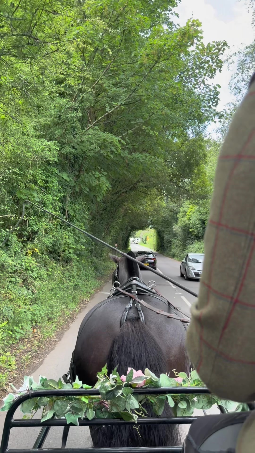 @Dartmoor Carriages