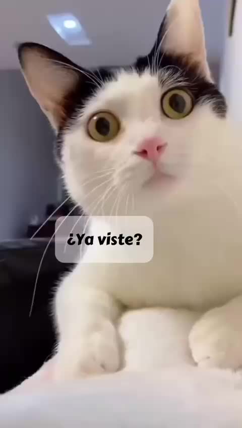 @Imelda Guajardo