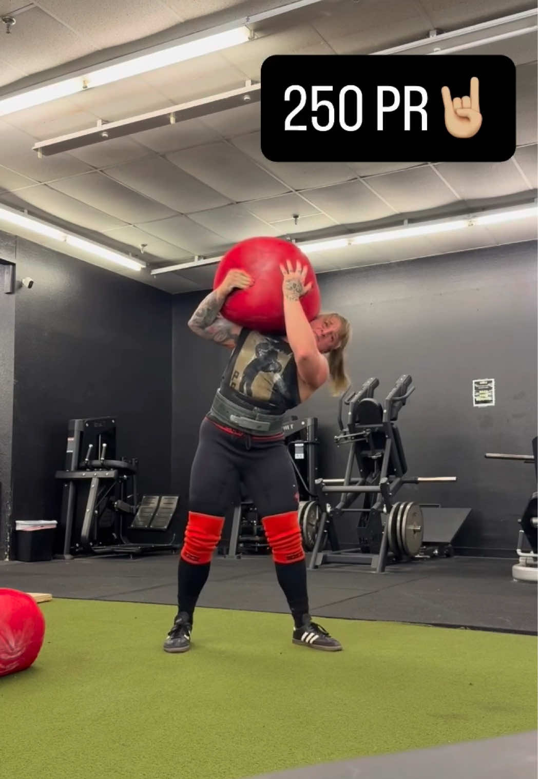@Cerberus Strength