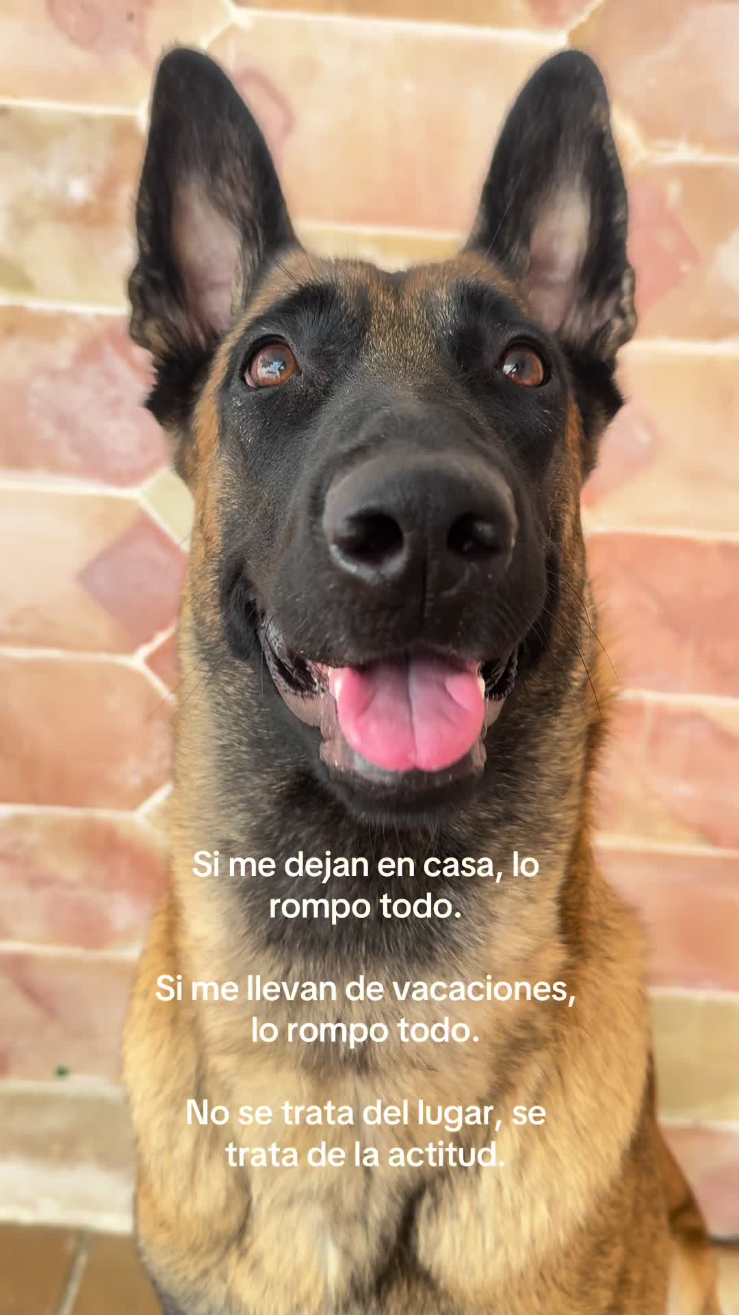 @Lobalobita