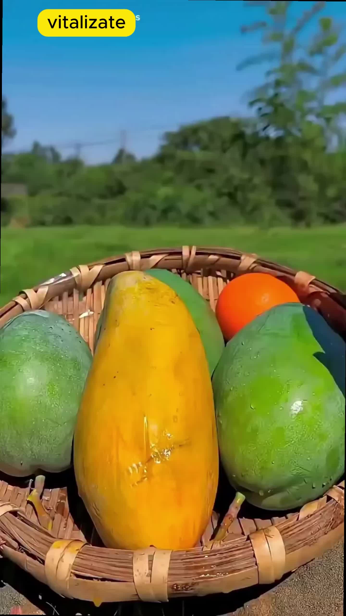 @vitalizate_now
