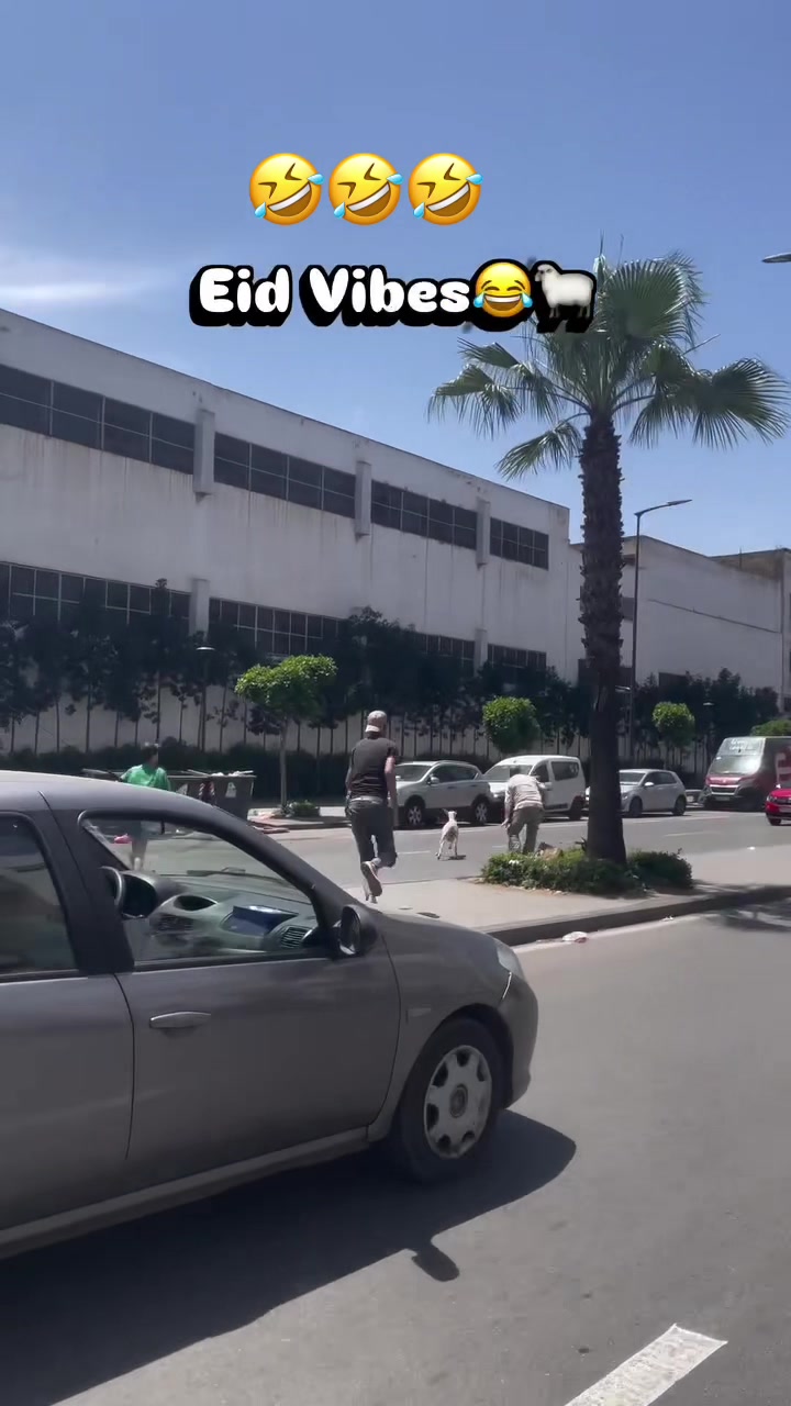@SyedAli
