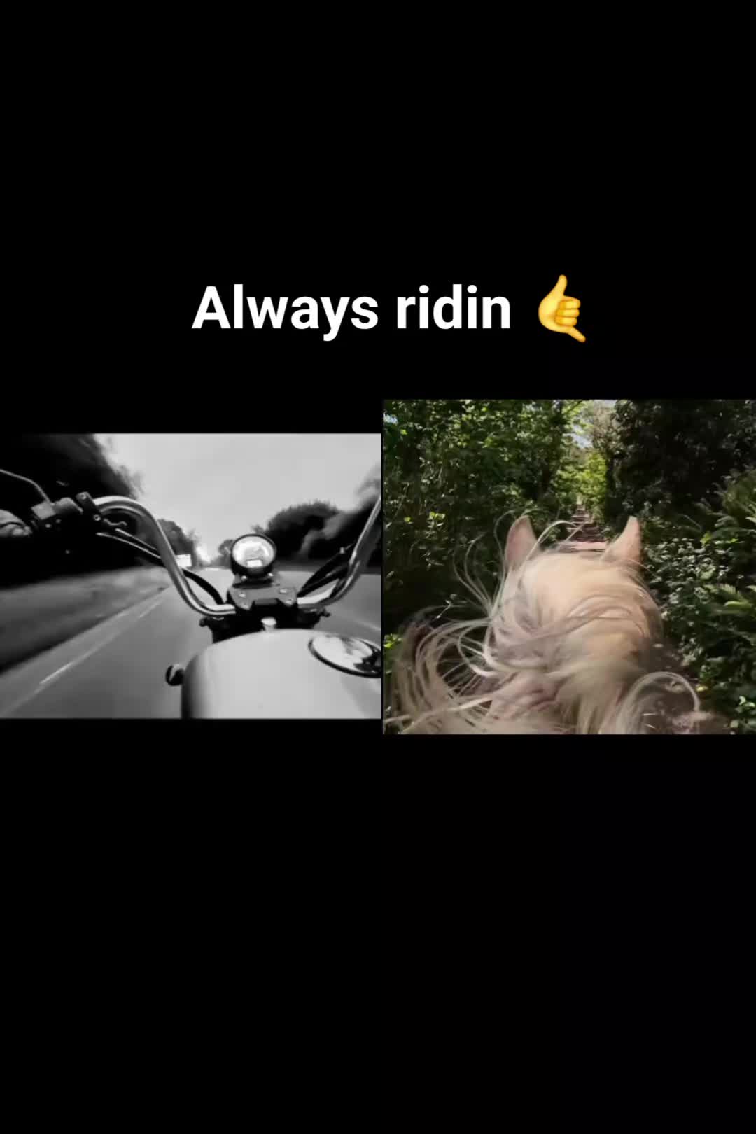 @Sinead 🐴 🖤💜🏍