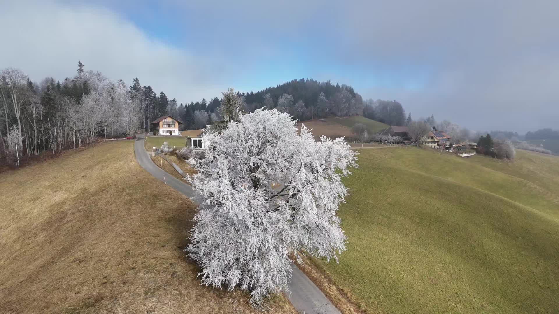 @𝙲 𝚑 𝚛 𝚒 𝚜