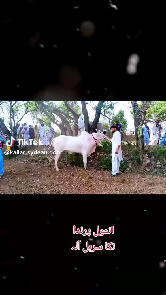 @ADNAN 🚜