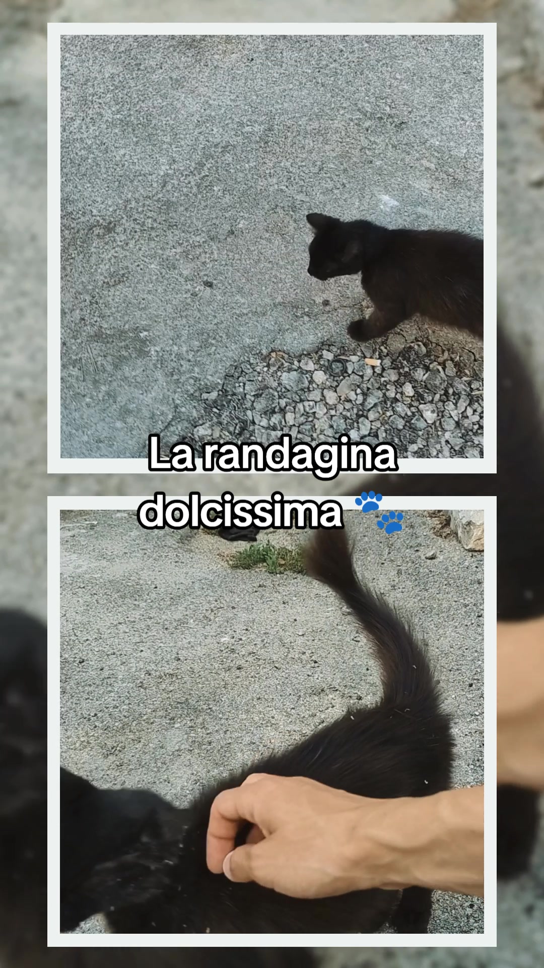 @Andyus