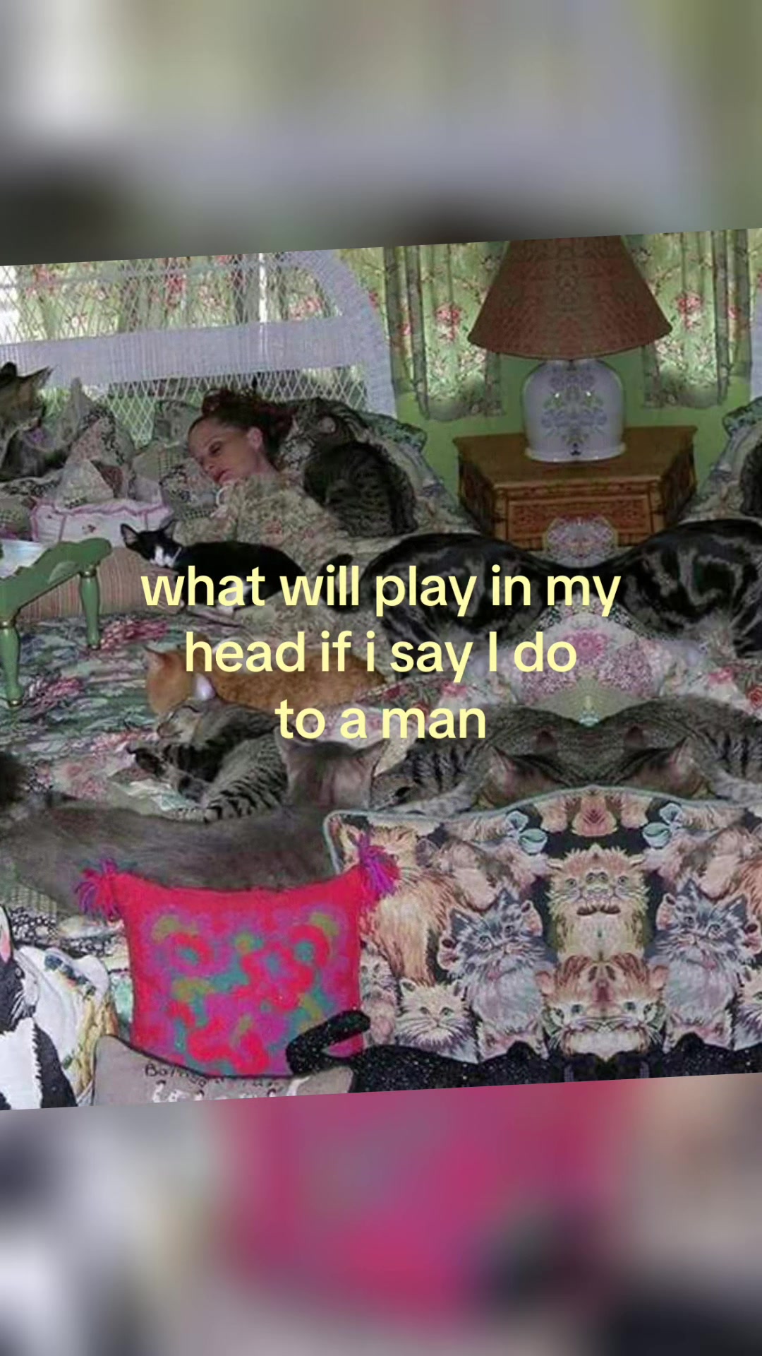 @🪽