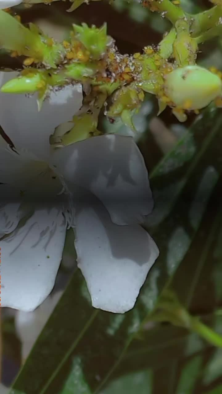 @لمسة فنانة