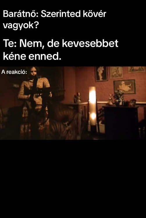 @buczivok
