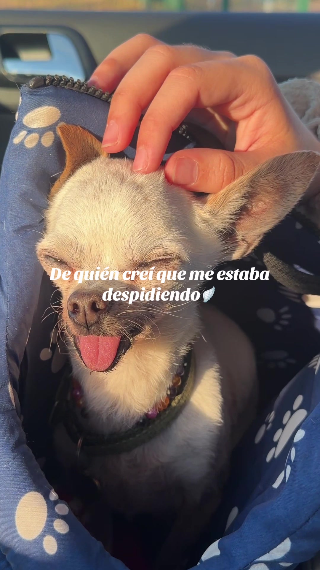 @Candelaber
