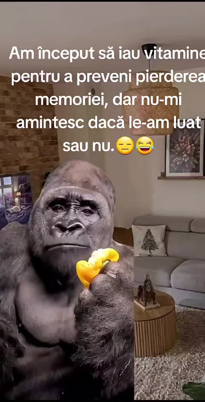 @Elena Cotia