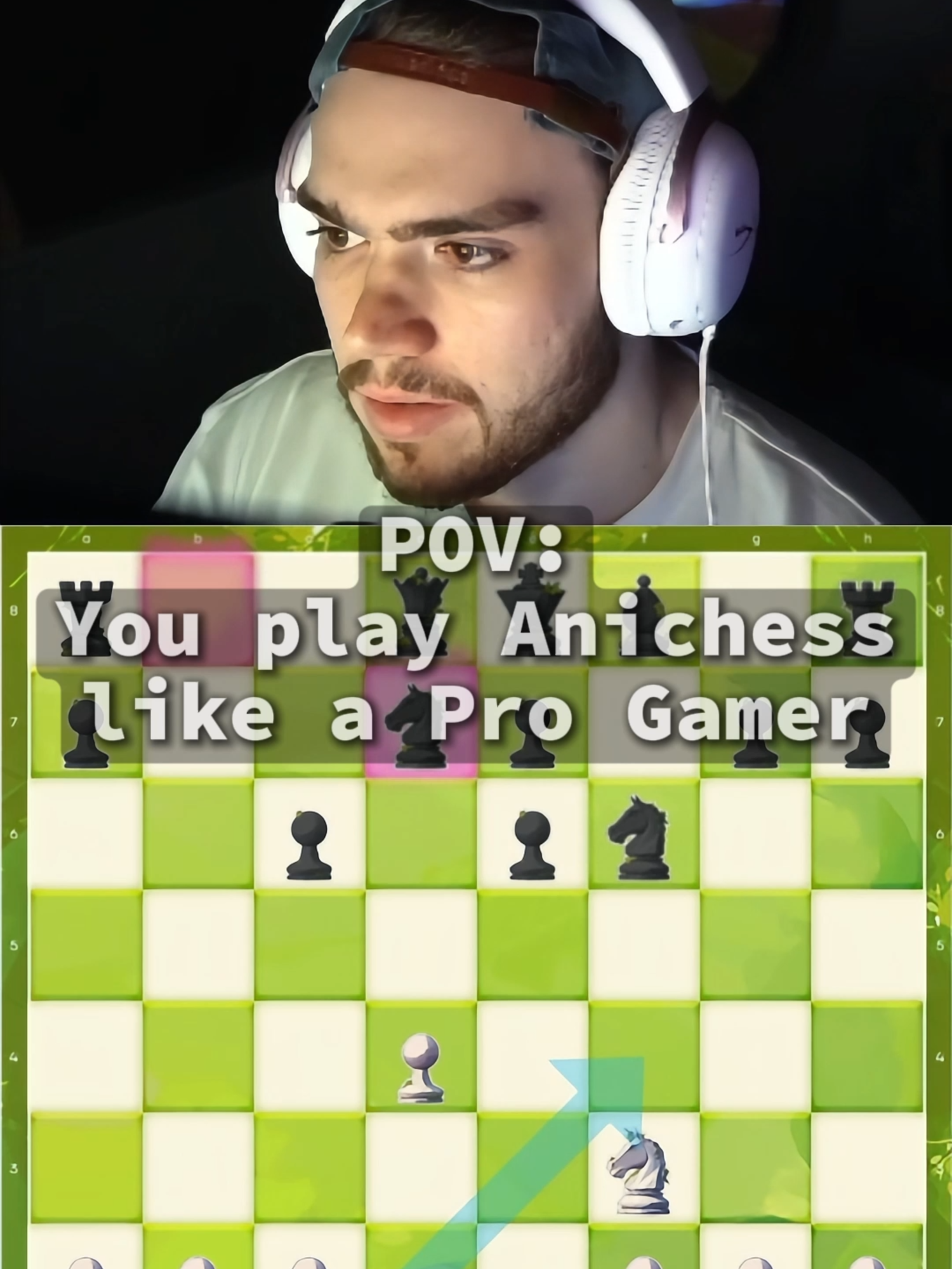 @Anichess