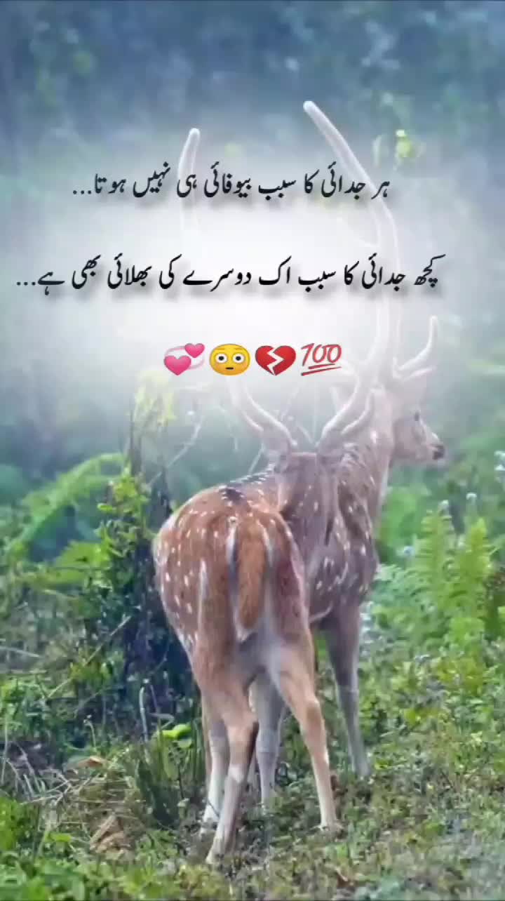 @💔 Bilal writes 💔