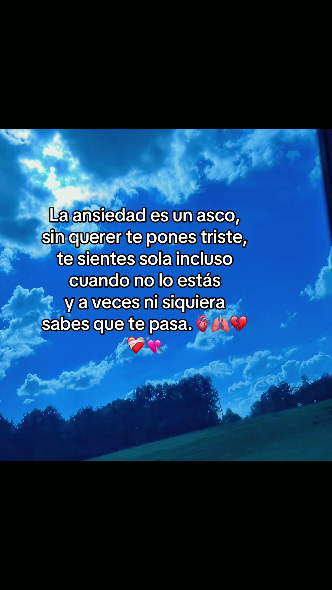 @Flory G 🌺