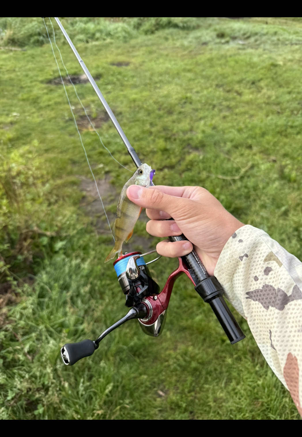 @FE_FISH