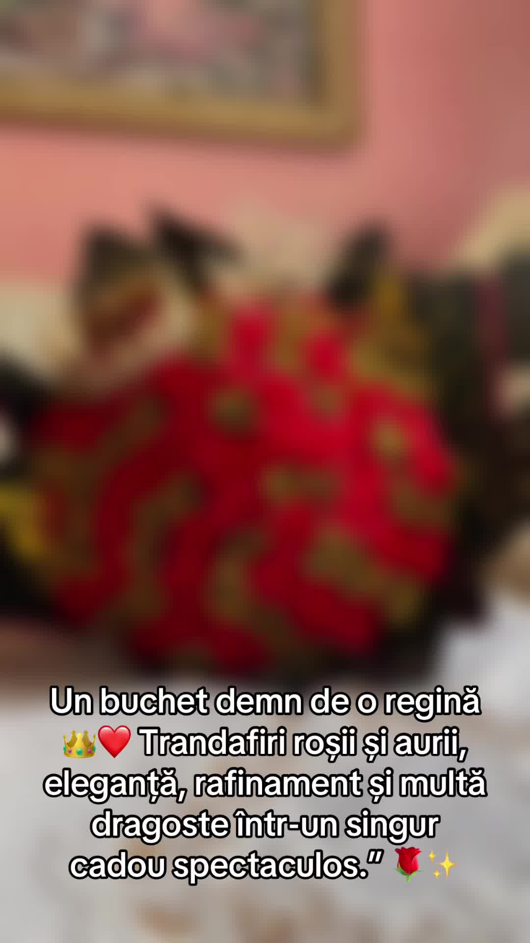 @Andrutzaa❤️