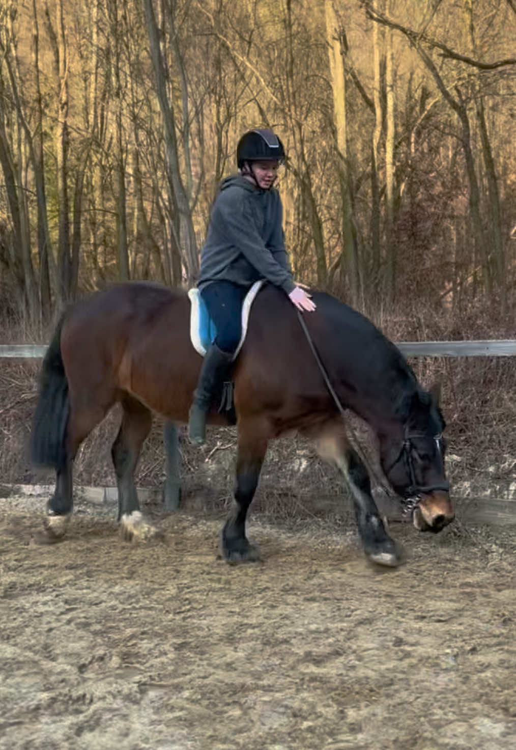 @equestrian._comps