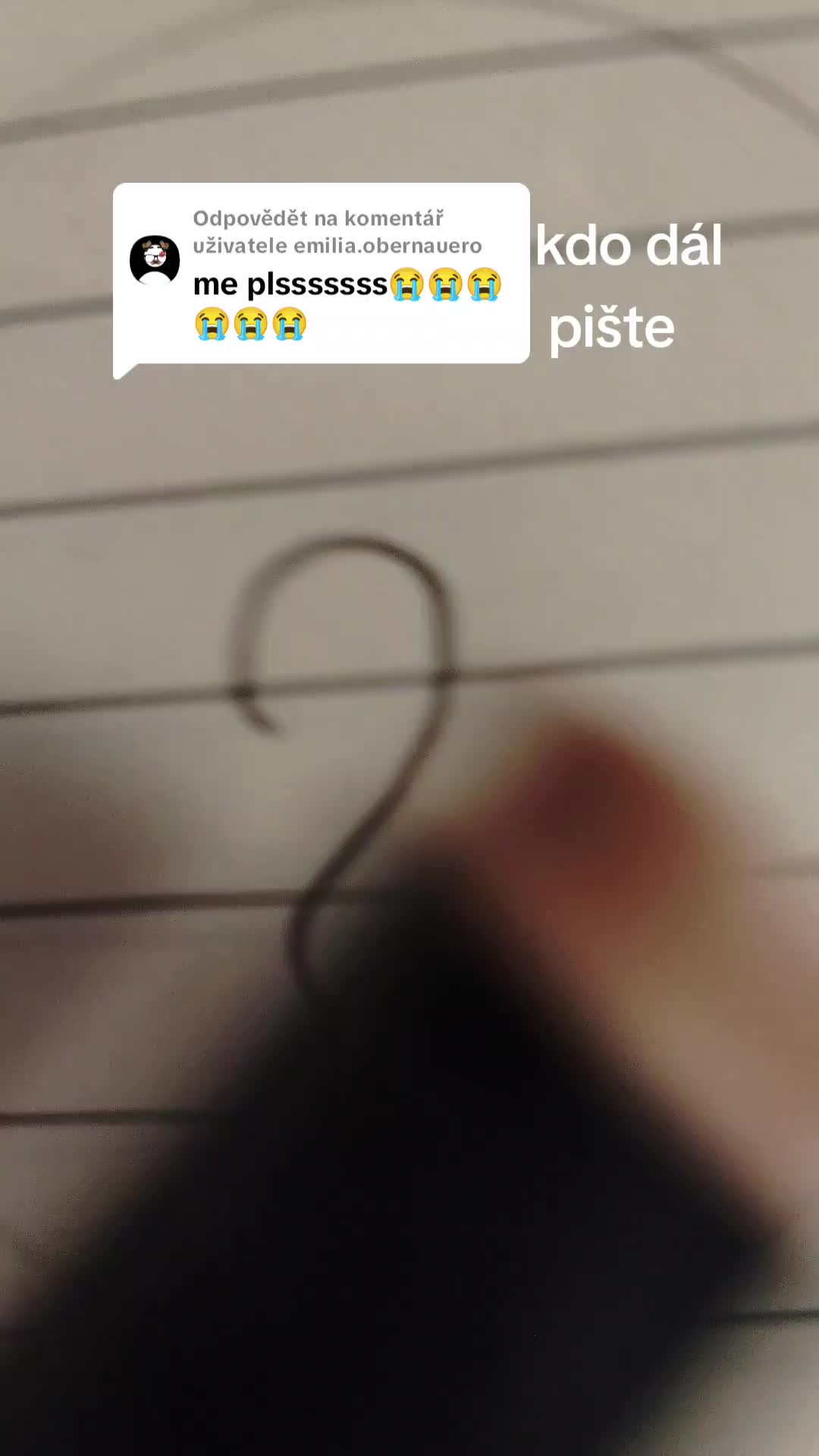 @Li&scaron;ka 🦊