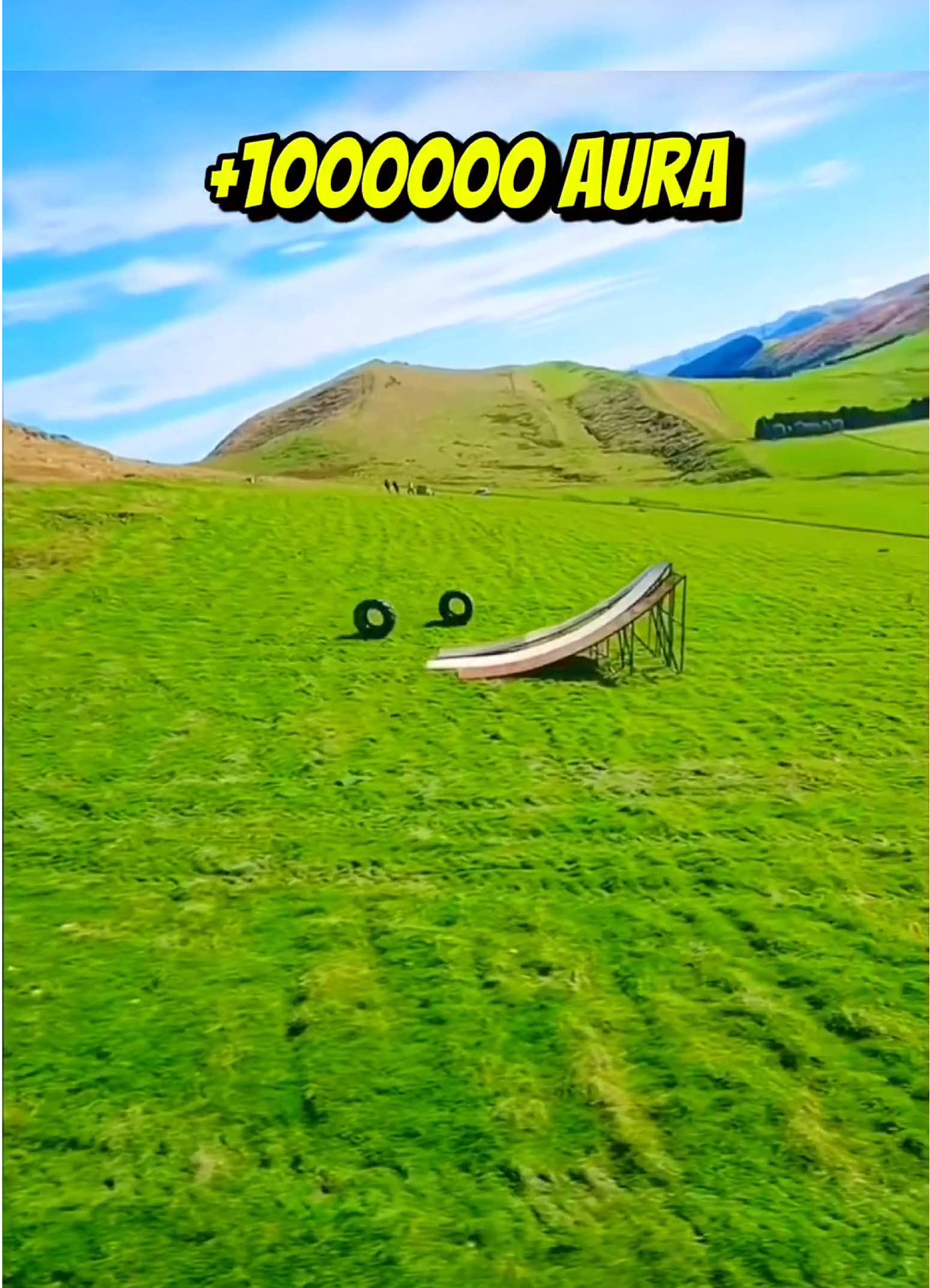 @Perfect_Slowmo