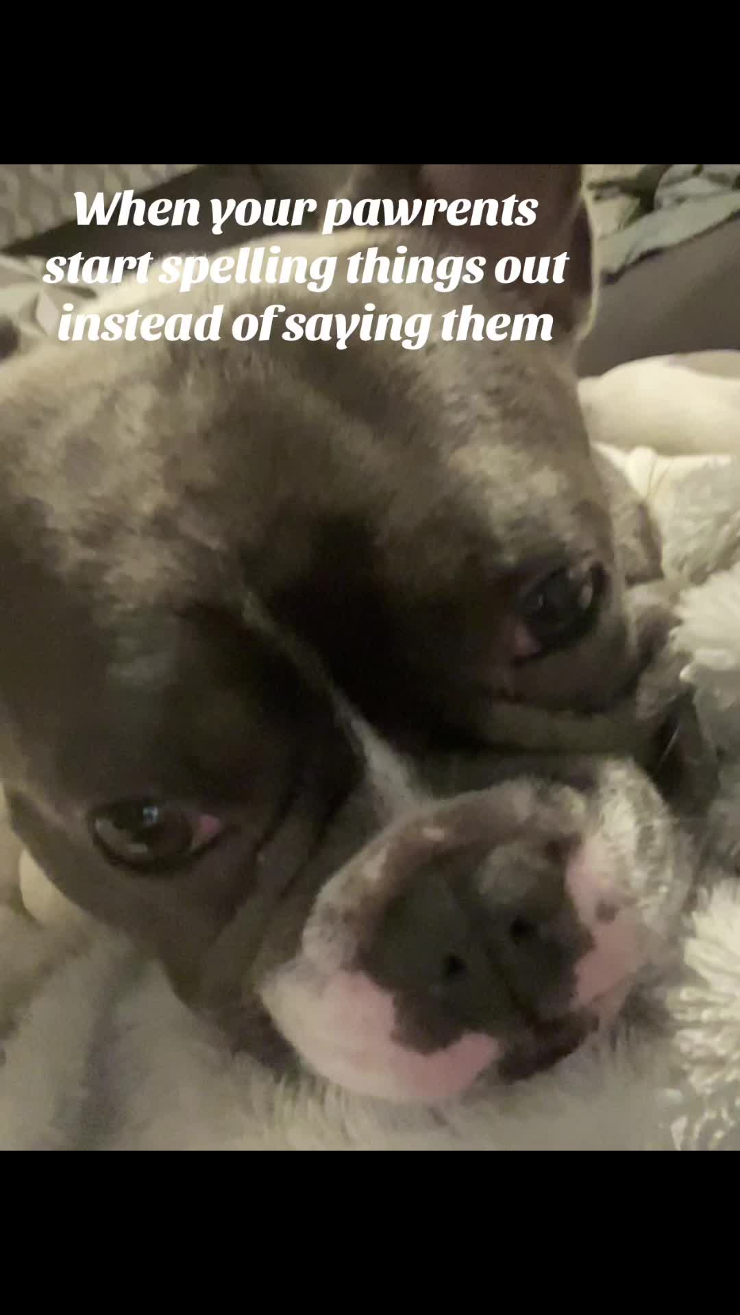 @BecomingBalancedWithVic