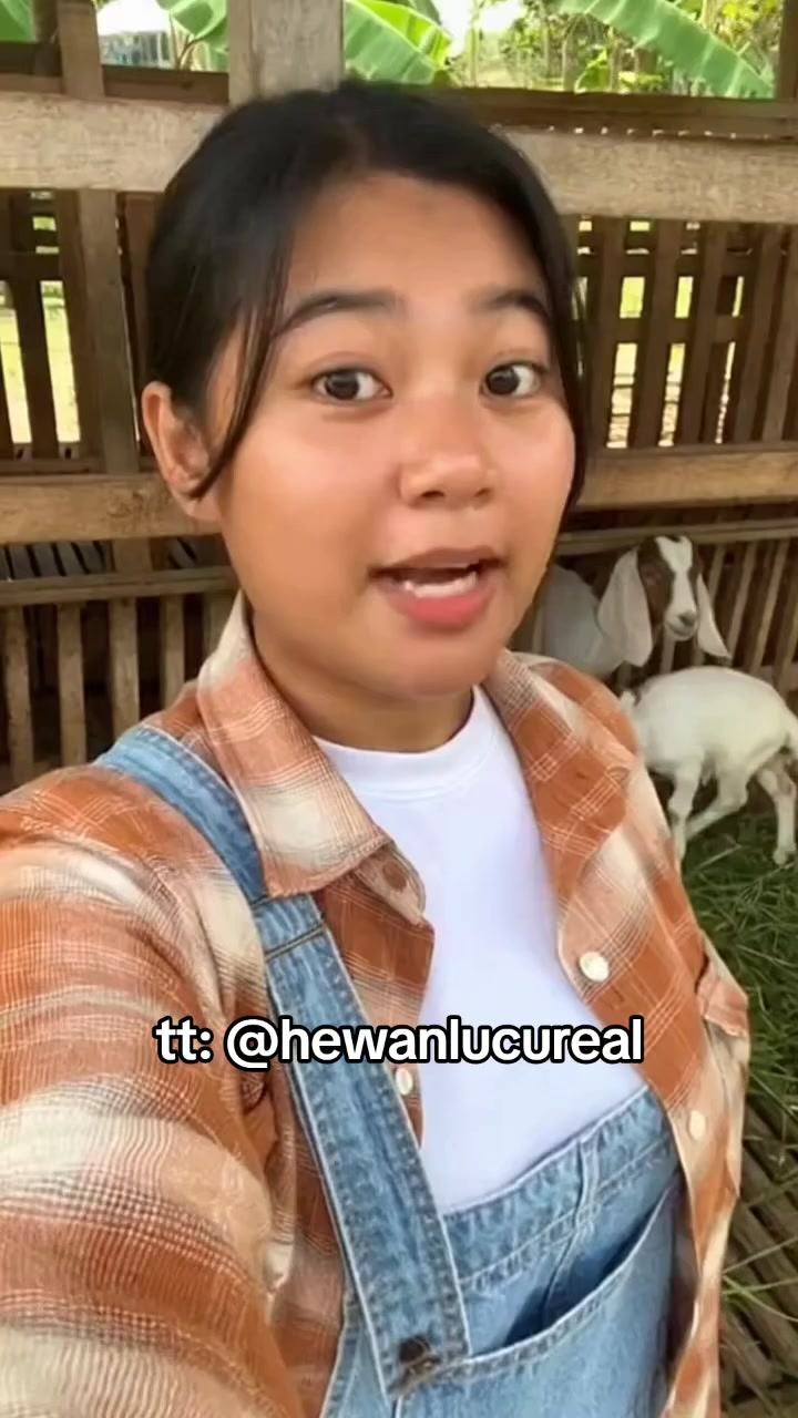 @Hewan Lucu🥰