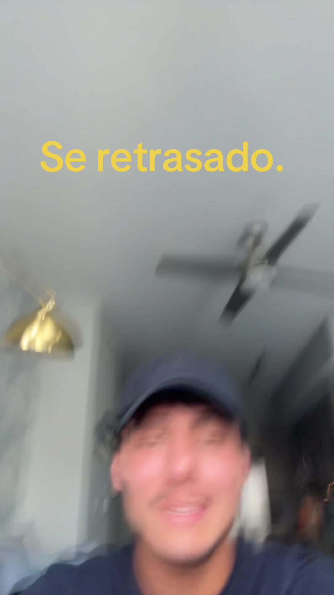 @mendiolaenusa