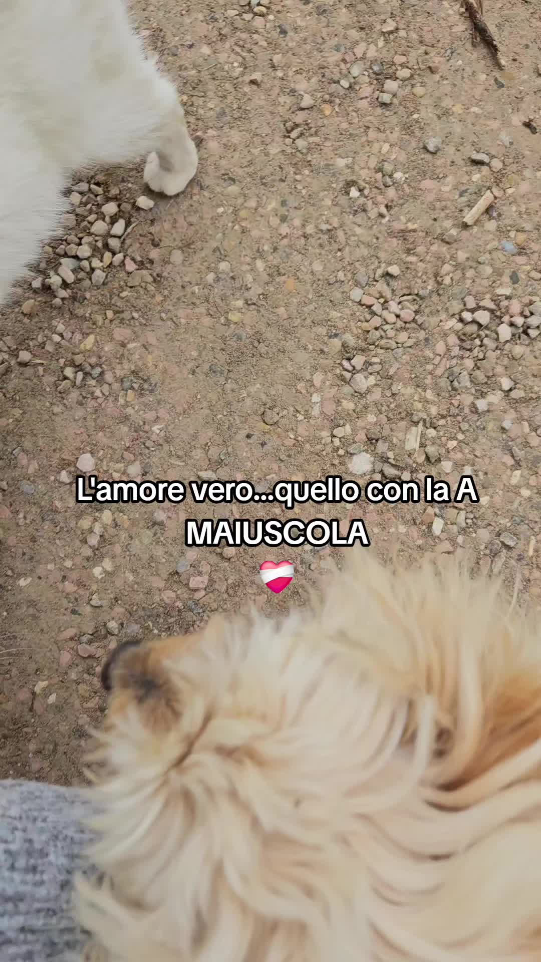 @Eleonora 🤍🖤