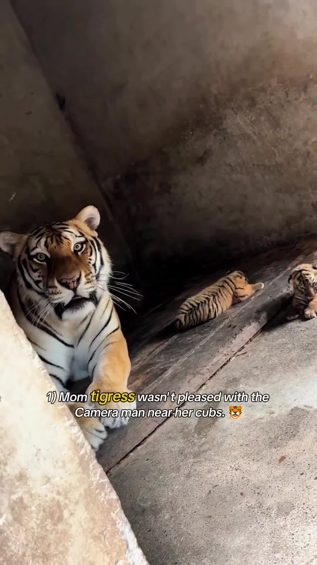 @WildwonderzZzz