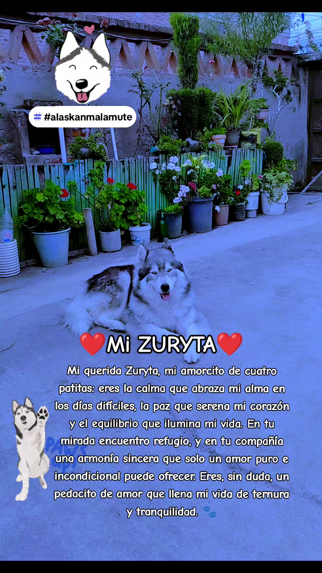 @🍀Ángel Marko™🍀
