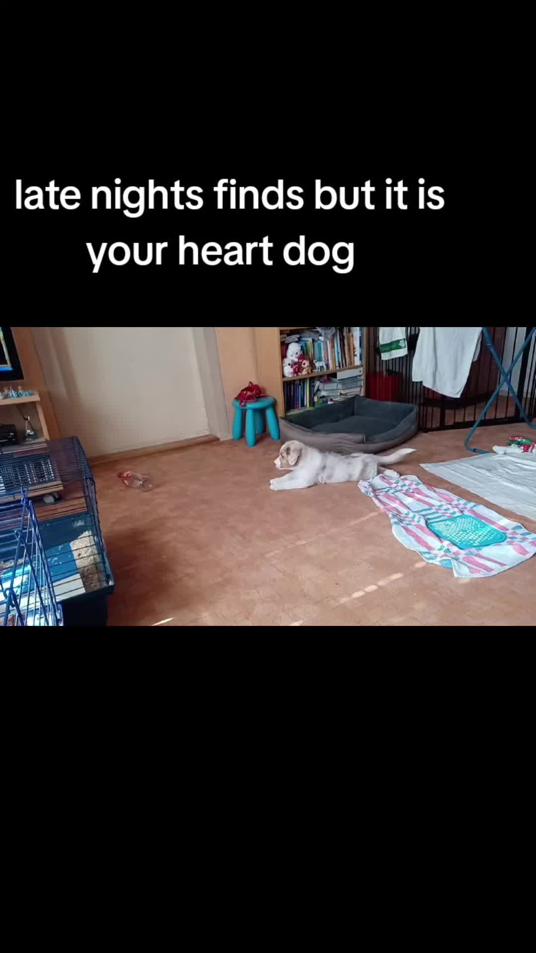 @🩷