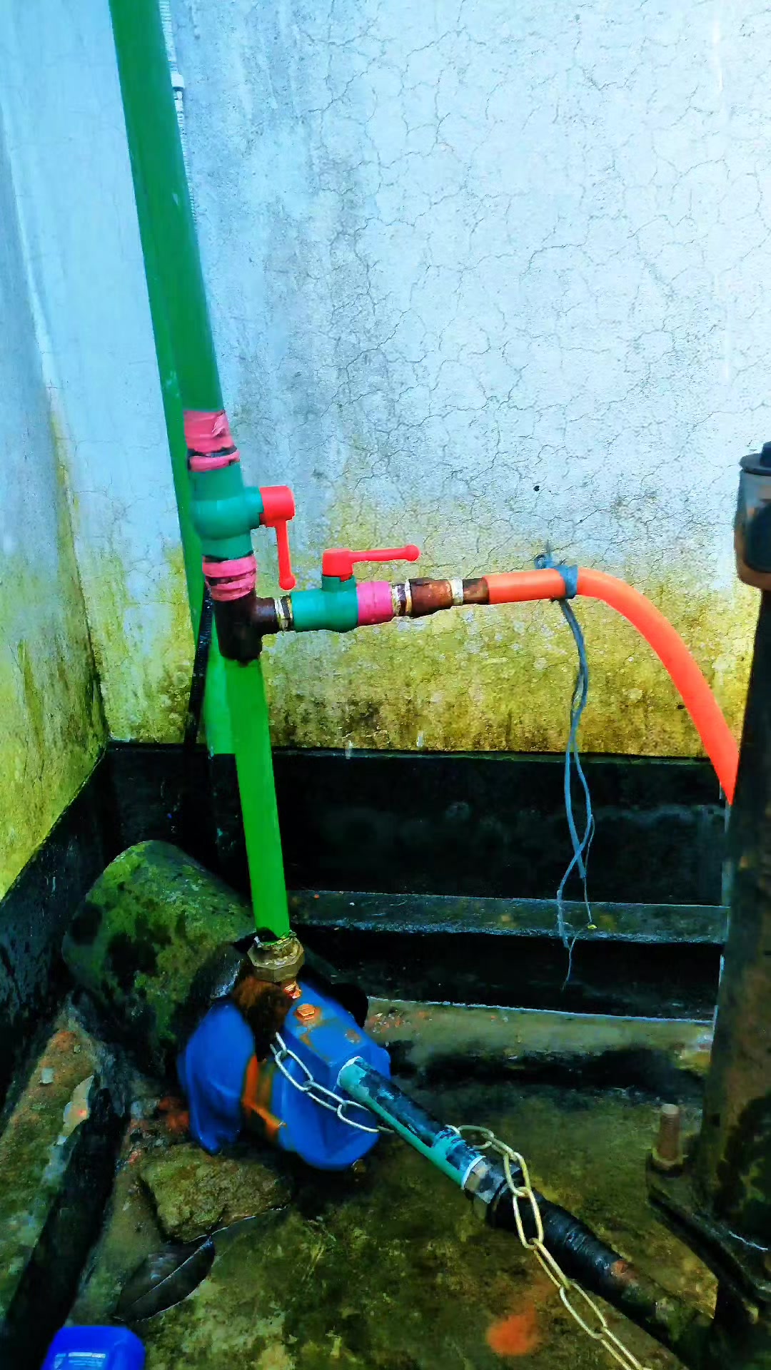 @মোঃ হযরত আলী ময়মনসিংহের ছেলে