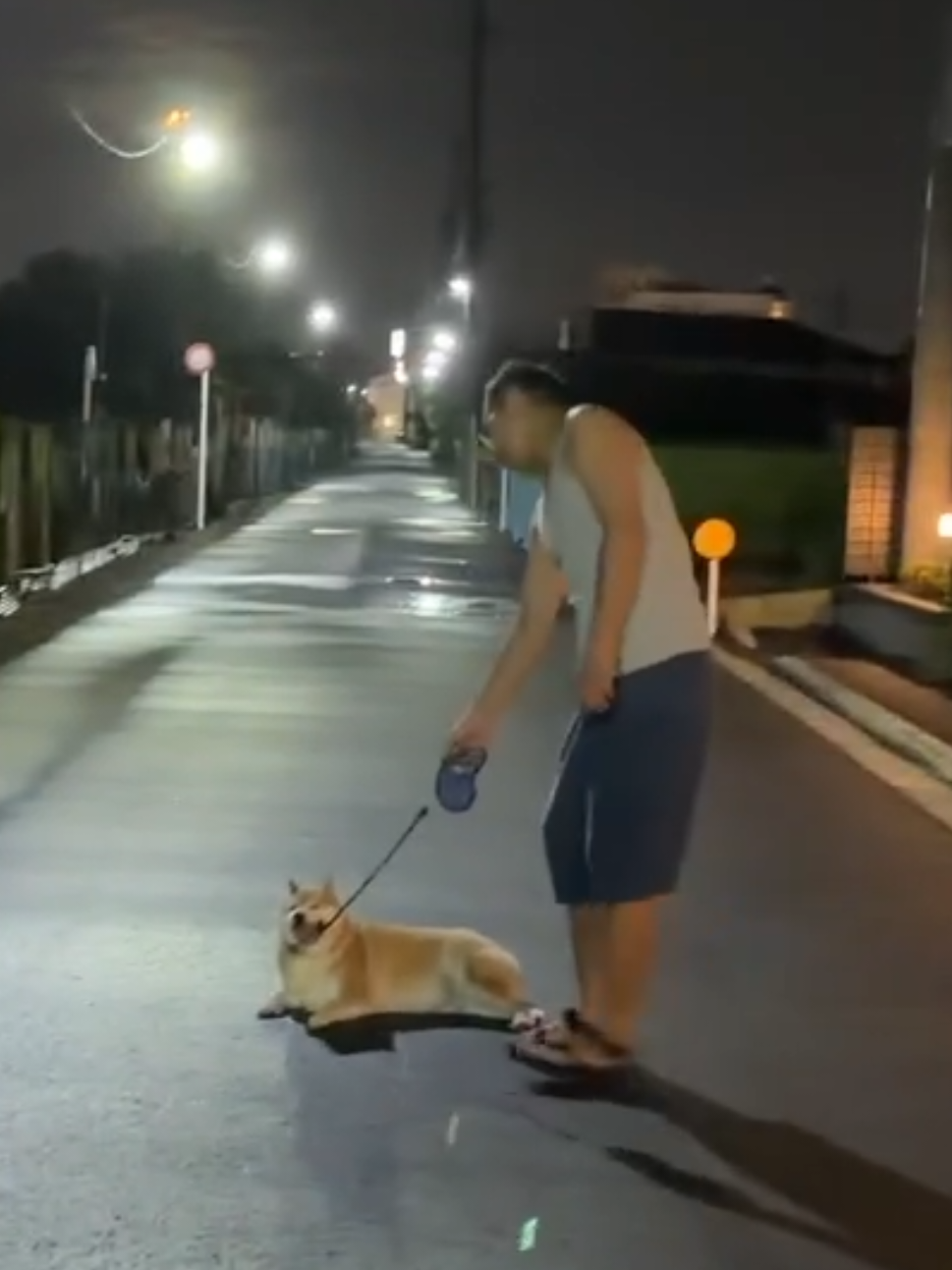 @柴犬とんこつ