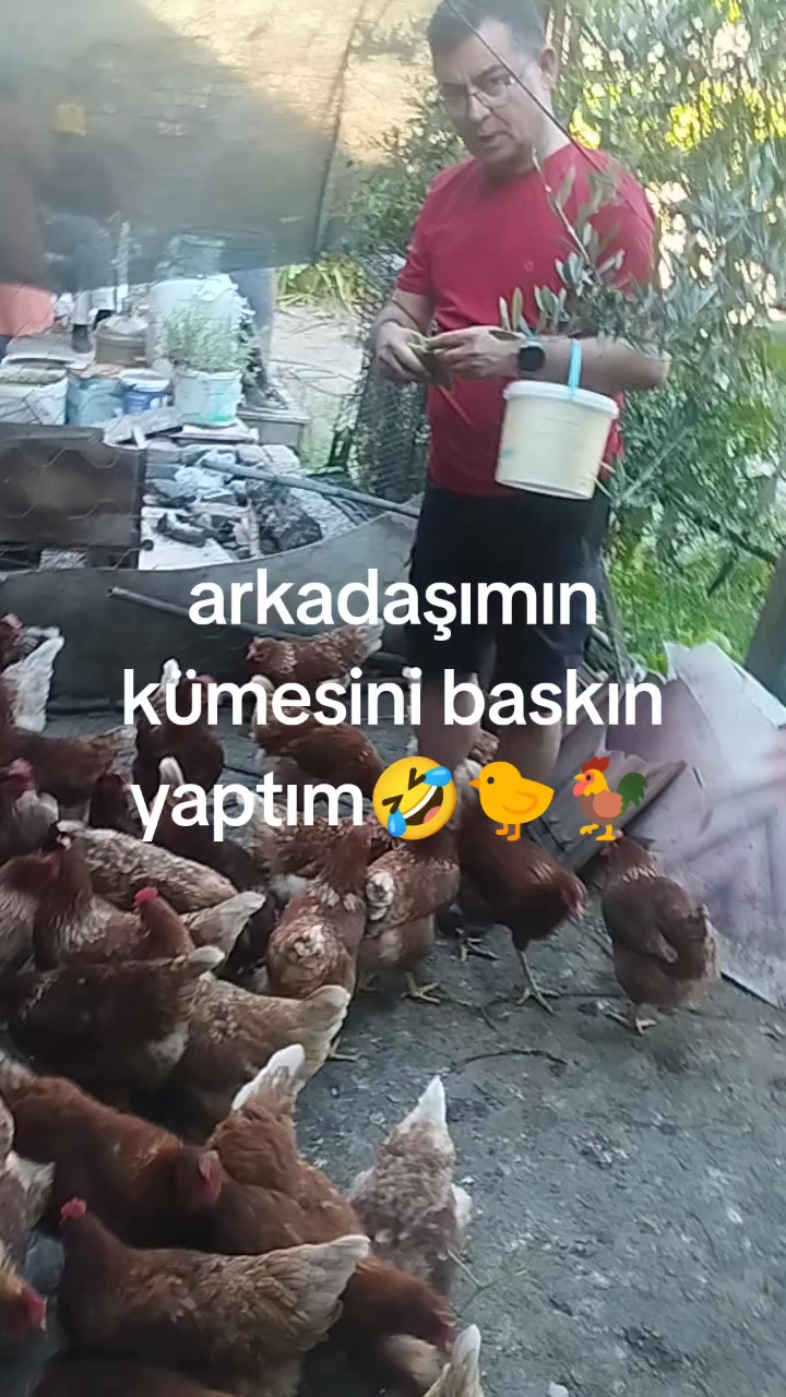@Yasar Avcioglu
