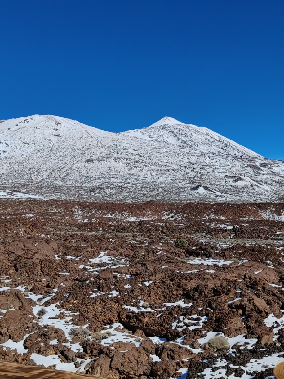 @Monica
