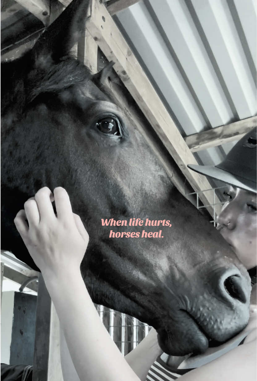 @sophielindsay.eq6