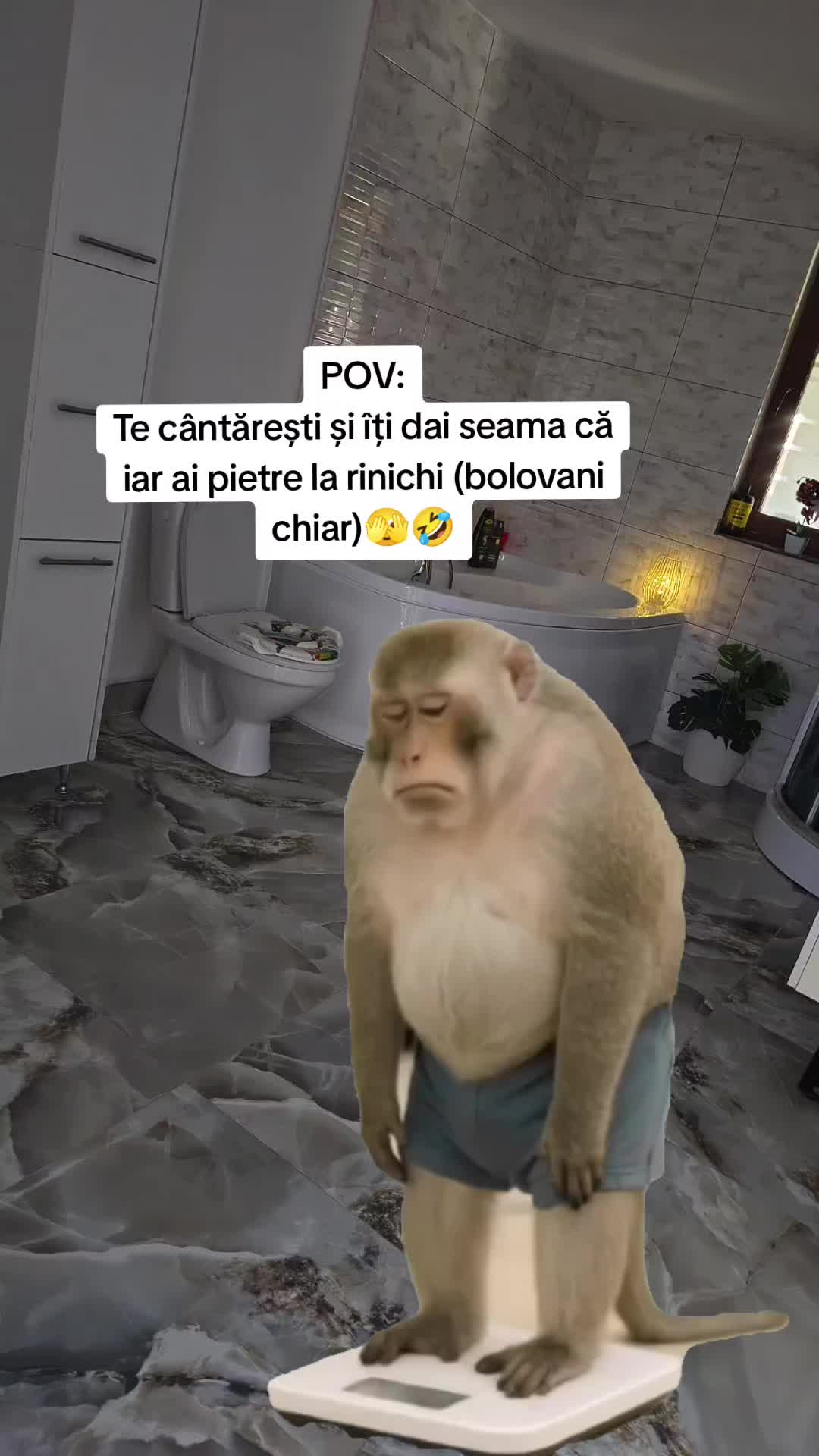 @Alina Mădălina