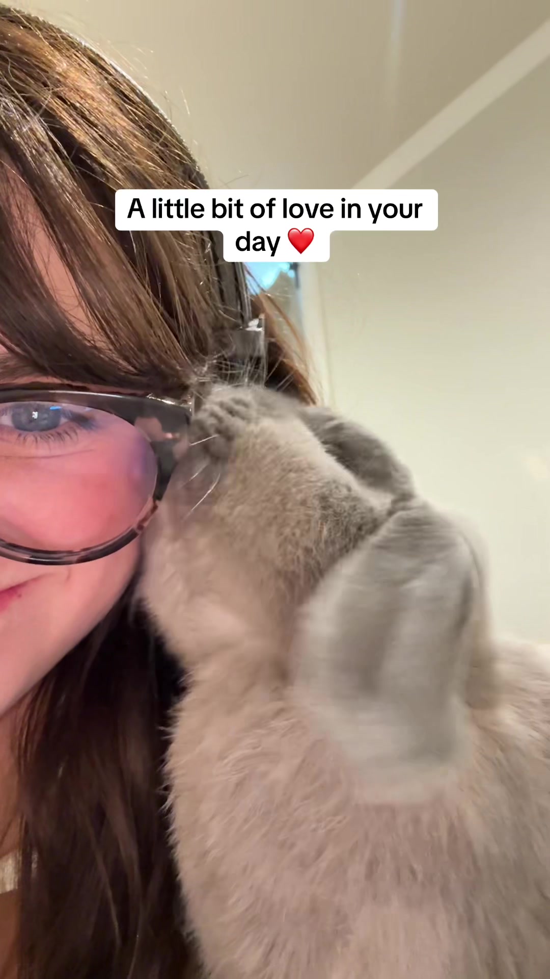 @Buzz the Bunny