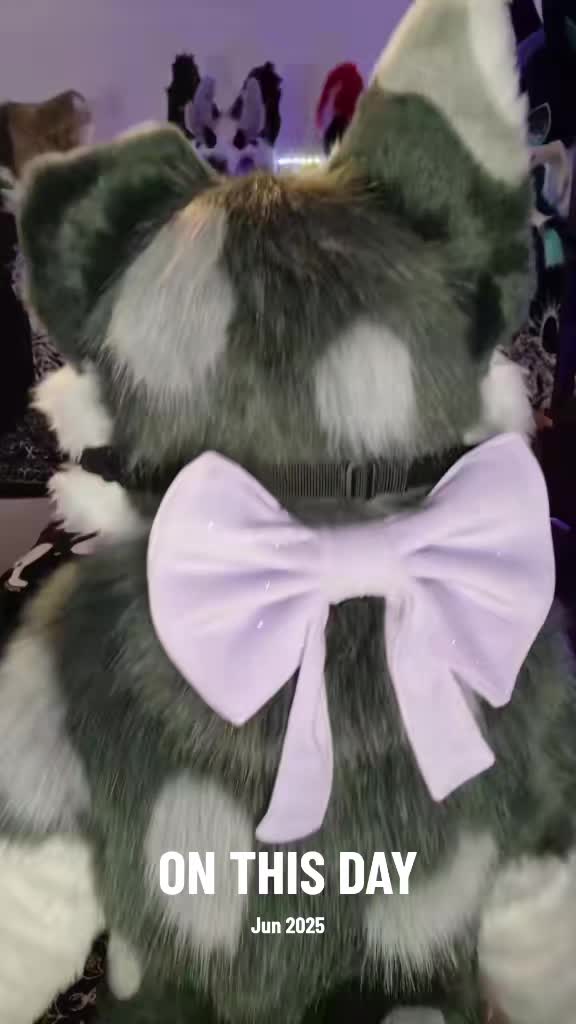 @Bailey (lilpixiekitten)